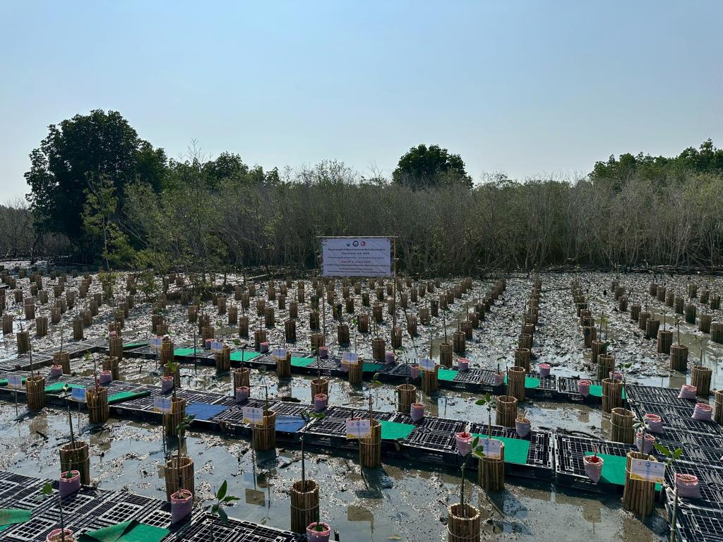 DC 9 จิตอาสาอนุรักษ์ทรัพยากรธรรมชาติ สังคม สิ่งแวดล้อม