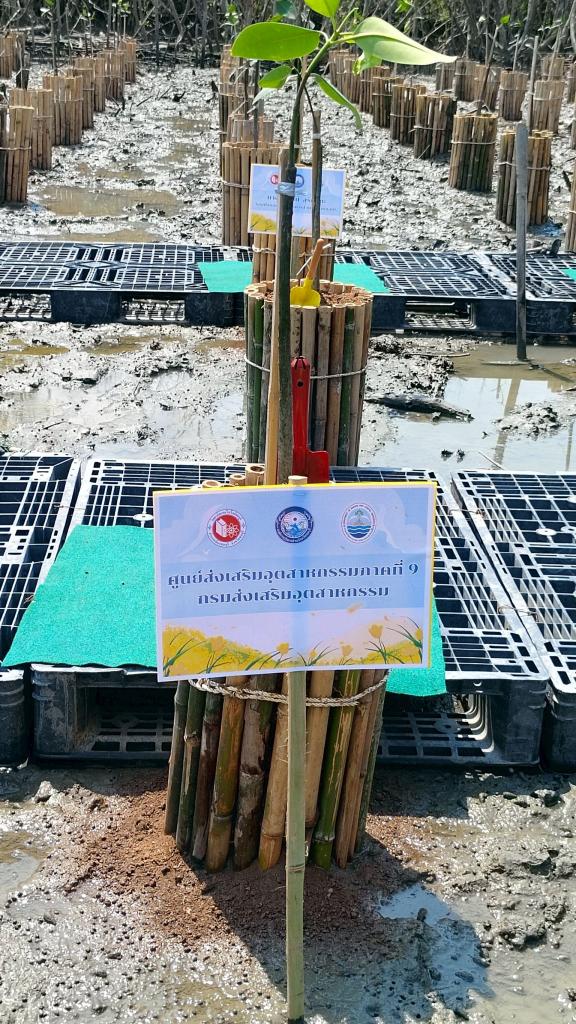 DC 9 จิตอาสาอนุรักษ์ทรัพยากรธรรมชาติ สังคม สิ่งแวดล้อม